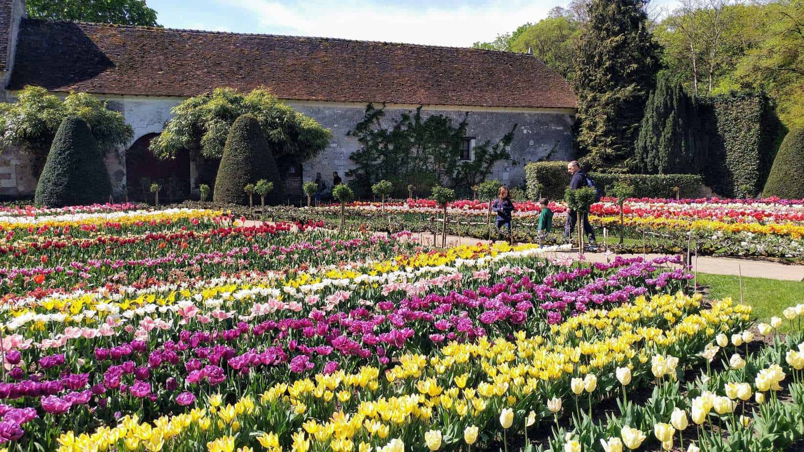 עמק הלואר עם ילדים - ארמון שננסו3 Chenonceau.jpg גינת הפרחים