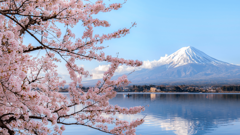 51 דברים שאתם חייבים לדעת לפני שאתם טסים ליפן